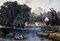 Rural Lake Poster Print by Currier and Ives - Item # VARPDX277201